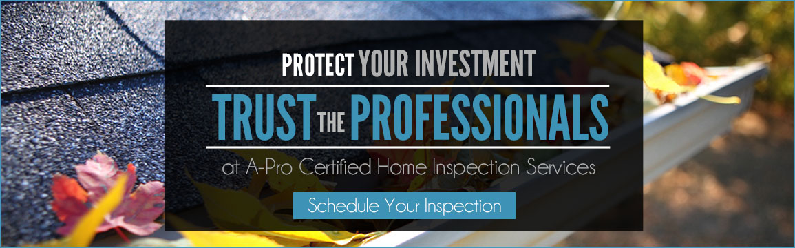 Trust the Professional Long Island Home Inspectors
