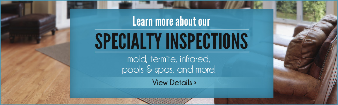 Ask About Our Mold Inspections