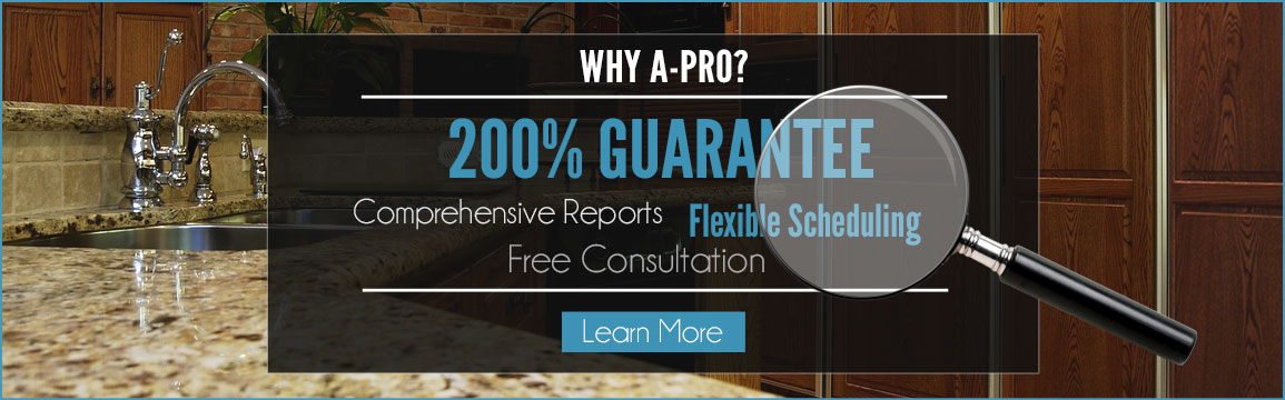 Choose A-Pro for Home Inspections